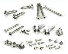Self Tapping Screw
